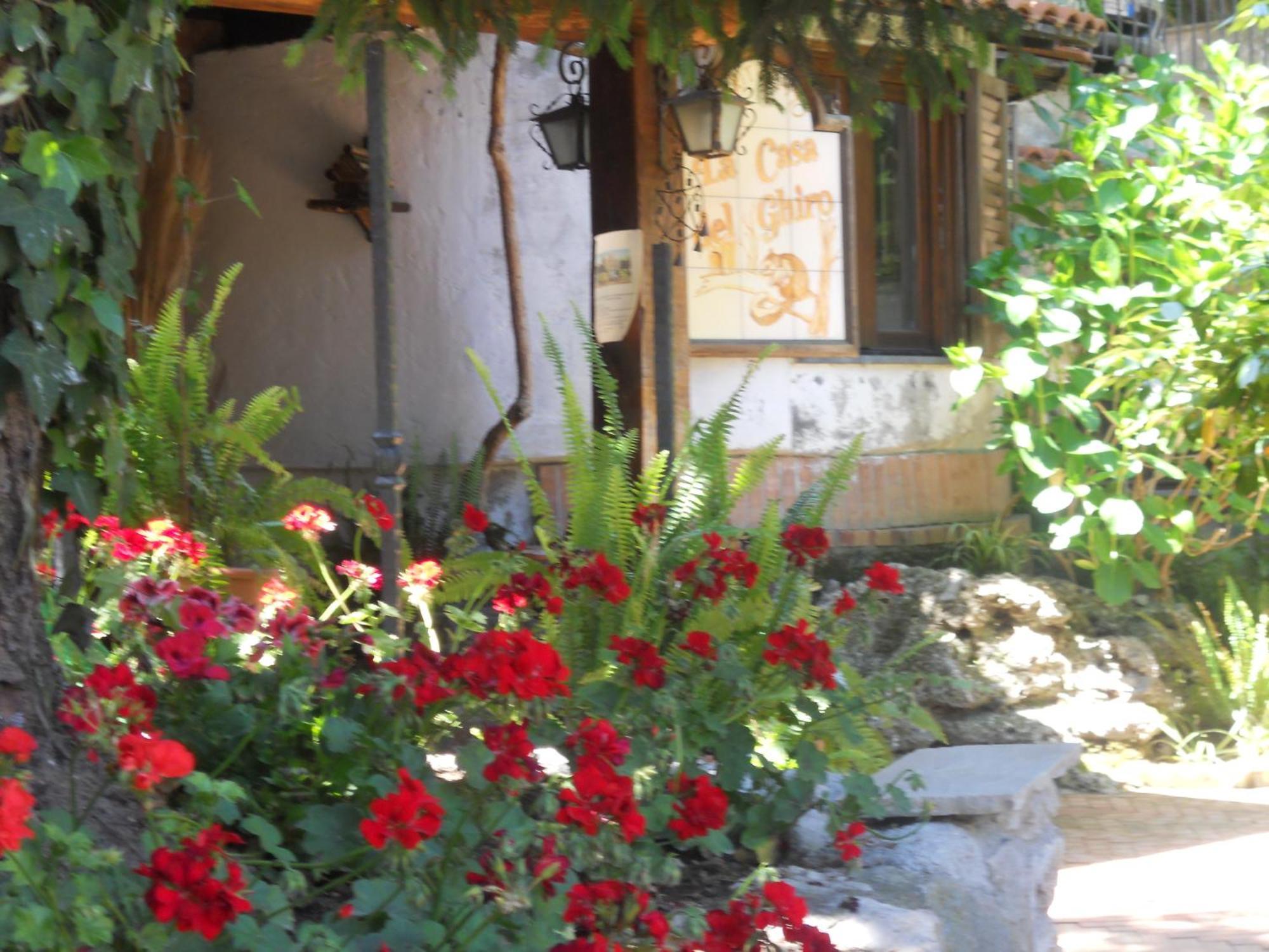 Agriturismo La Casa Del Ghiro Pimonte Exterior foto